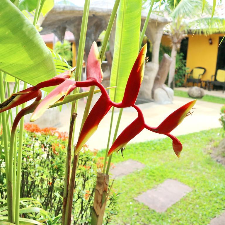 Kamala Tropical Garden Hotel Buitenkant foto